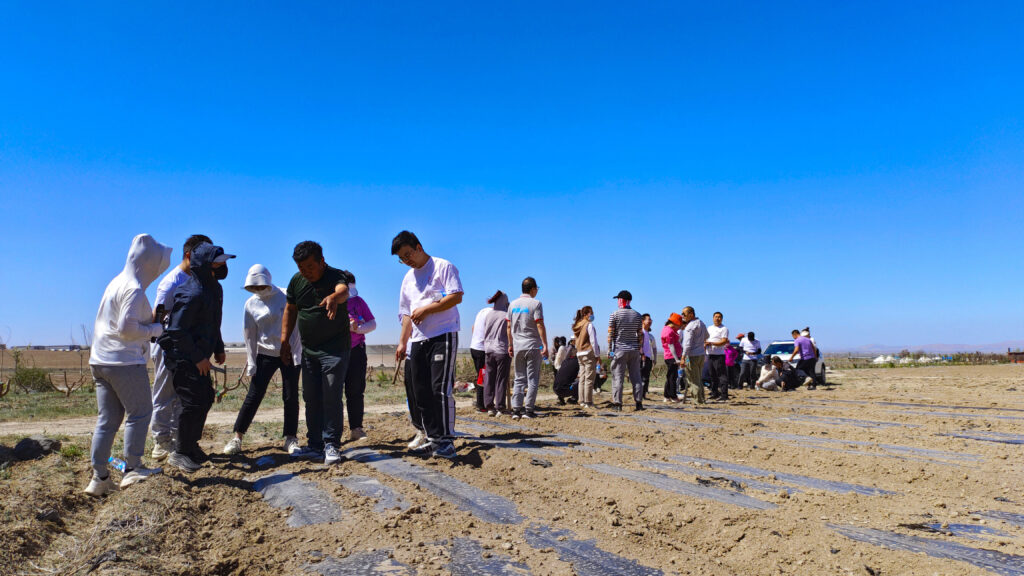 走进田园 播种希望|凯发K8天生赢家一触即发物流春种团建活动