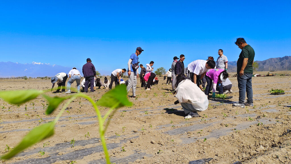 走进田园 播种希望|凯发K8天生赢家一触即发物流春种团建活动